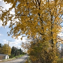 Scenery Montville Duchek 2041